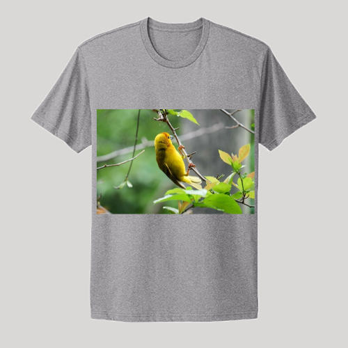 Next Level Unisex Cotton Tee - Heather Gray