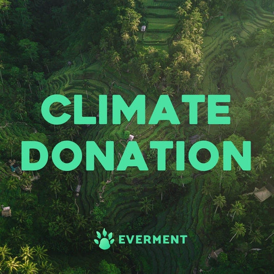 Everment Logo